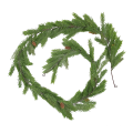 05T142534 (2).png