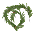 05T142534 (1).png