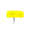 03T161025.757.png