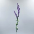 20220210_174016.jpg
