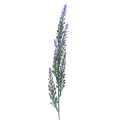 11T113500.337.png