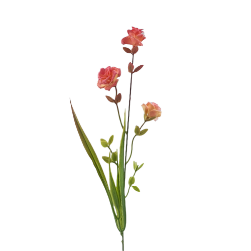 11T123011.484.png