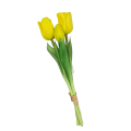 15T171036.117.png