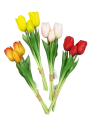 15T171108.562.png
