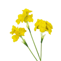 15T171352.065.png