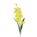 Storczyk - gałązka 60cm 9 kwiatów KREMOWA /86305K