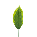 26T123129.882.png