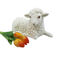 26T104214.463.png