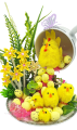 03T154537.558.png