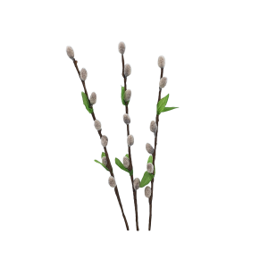 Gałązka BAZIE omszone 30cm szare z zielonymi listkami - 3szt /5544