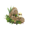 07T174204.550.png