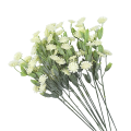 11T165048.638.png
