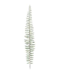 Gałązka - Liść PAPROĆ bielona 46cm /06522
