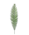 11T165431.603.png