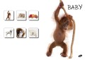 Baby-brez-pasic1_Del1.jpg