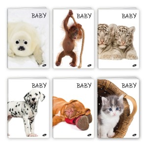 Zeszyt A5 32 kartki w kratkę BABY /Elisa/67742