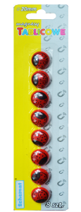 Magnesy do tablic 20mm x 8szt /1589