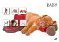 Baby-brez-pasic1_Del31.jpg