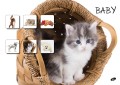 Baby-brez-pasic1_Del41.jpg